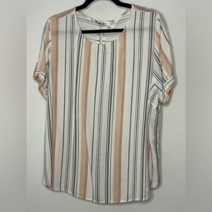 Blu Pepper Striped Blouse Size 3X